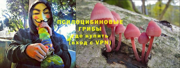 крисы Аркадак