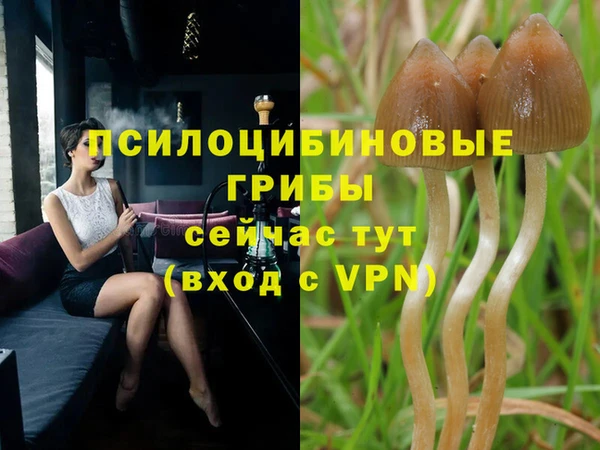 крисы Аркадак