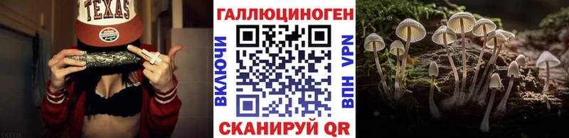 Галлюциногенные грибы Psilocybine cubensis  сколько стоит  Фатеж 